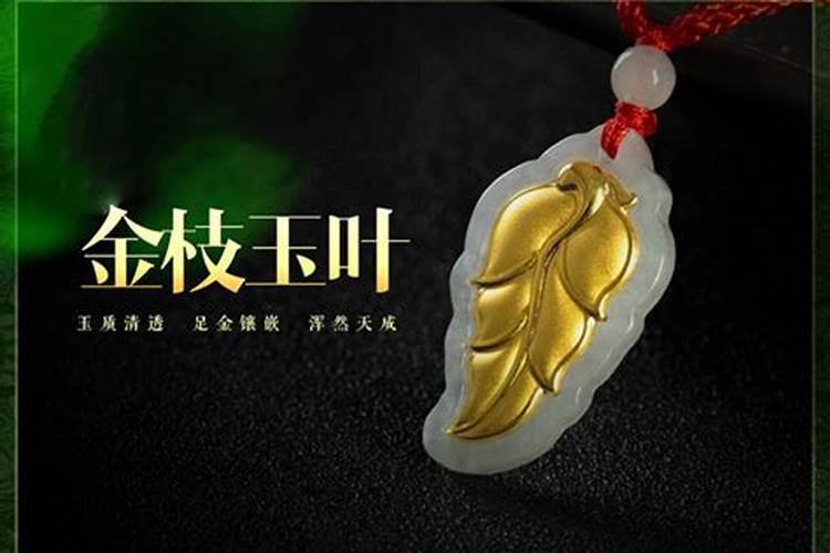 今年七一年属猪命运如何
