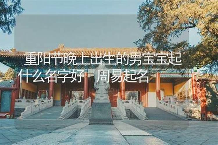 1997年属牛女的婚姻和命运 1997年属牛女婚姻运势详细解析