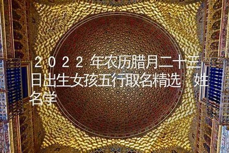 1984年属龙2025年运势