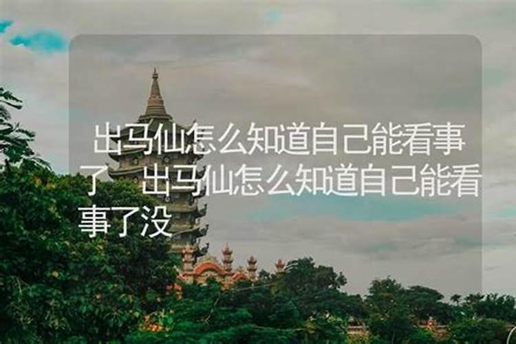 两个属兔的在一起合不合