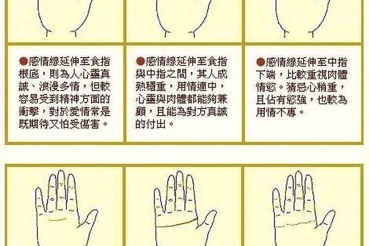 2025属猴犯太岁吗
