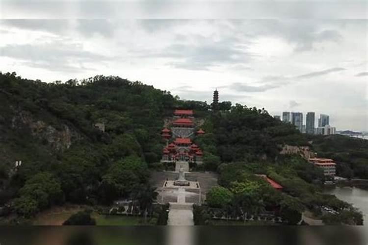 求《清明樱花祭》完整版的中文歌词