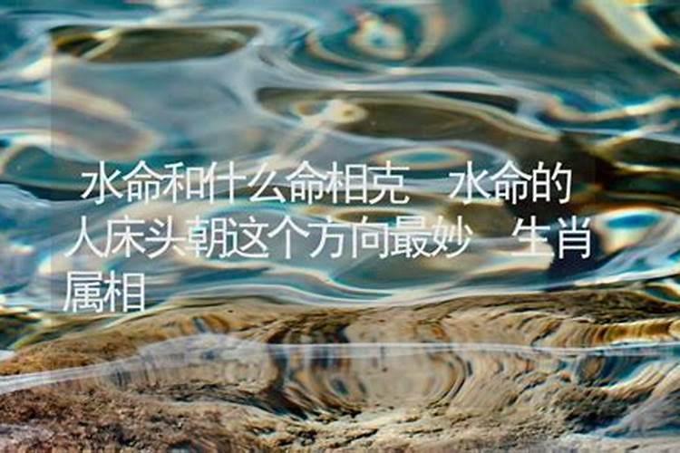 水命的人和什么命的在一起比较幸福？