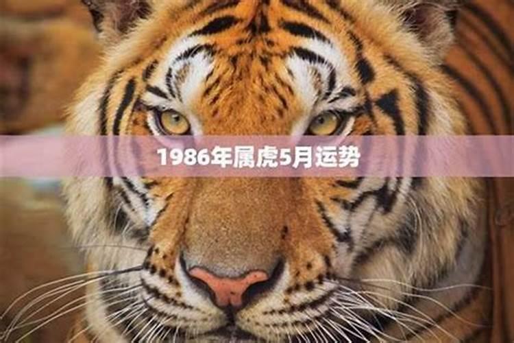 1969年男2025年每月运势