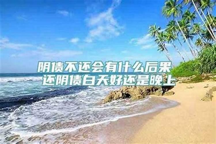 生肖猪2025年运势 属猪2025年运势及运程