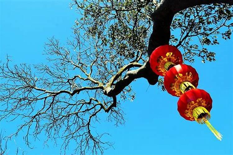 南方立冬的风俗吃什么