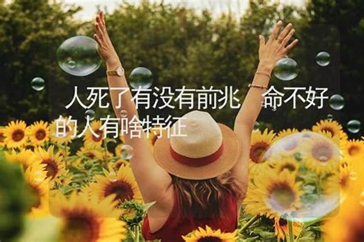 命不好的人有啥特征