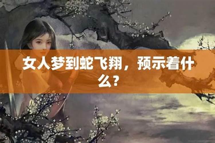 2025年犯太岁的生肖猪怎么化解2025年犯太岁的生肖猪怎么躲星