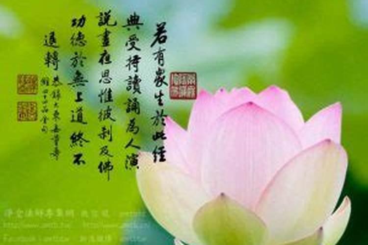 找了童子命丈夫怎么办