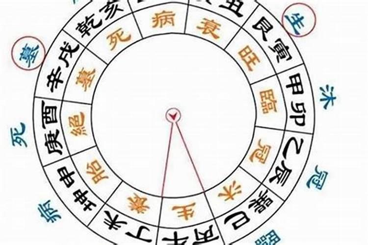 什么命是最旺的