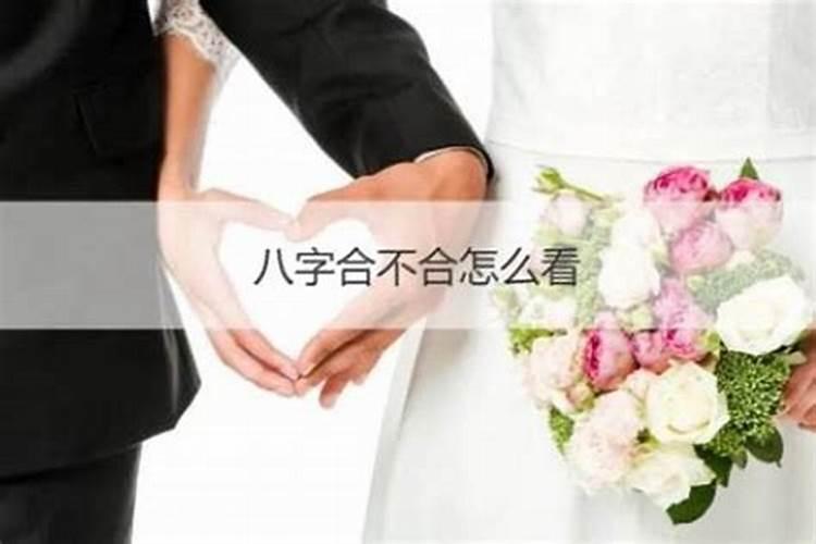 男女八字配对合不合 八字用神看姻缘？