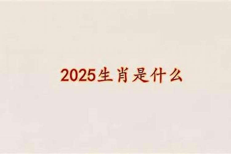 2025属猪女冲太岁忌讳什么