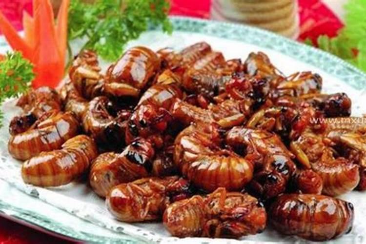 属虎的可不可以在本命年结婚,爱情与婚姻分析？