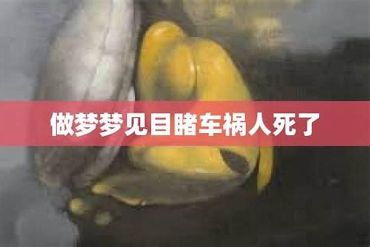 梦见看到别人出车祸是什么预兆