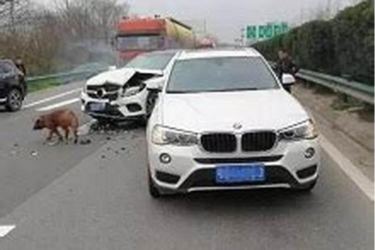 梦见别人出车祸是什么预兆