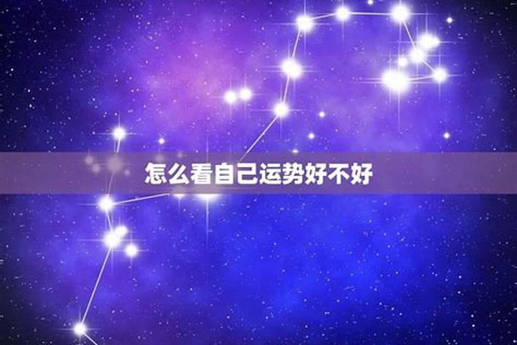 69年鸡男2025年运势和每月运程