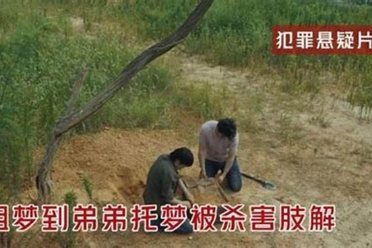 “梦境擒凶案”:弟弟被害,警方依照姐姐梦境找到尸体,后来怎样？