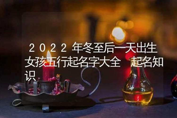 1982年属狗2024年运势及运程详解 82年属狗人2024年龙年每月运程