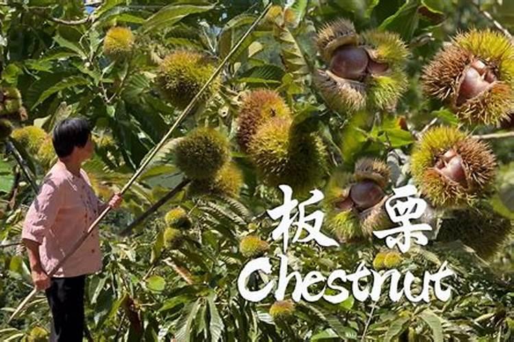 生孩子要避开春分吗 宝宝出生在春分那天好不好