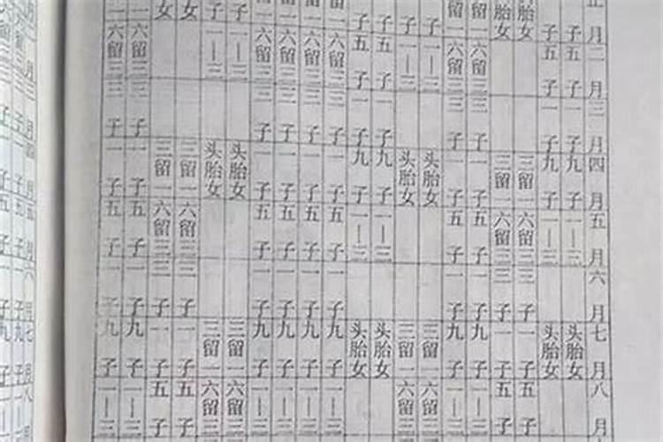 2025属鼠犯太岁吗