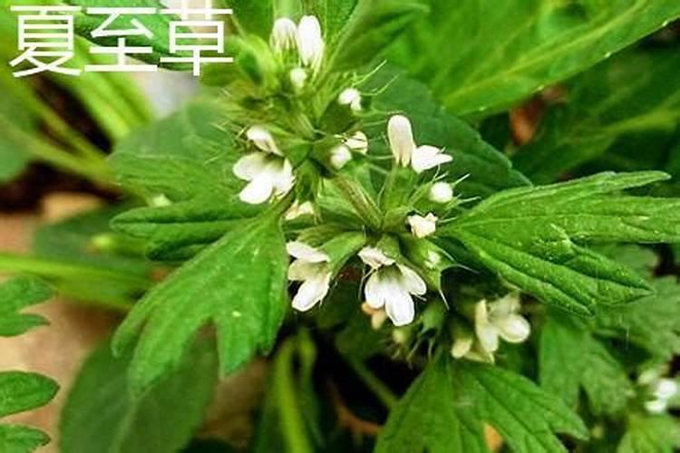 善因善果,恶果违缘,怎么偿还那些宿世犯下的孽缘情债,钱财债？
