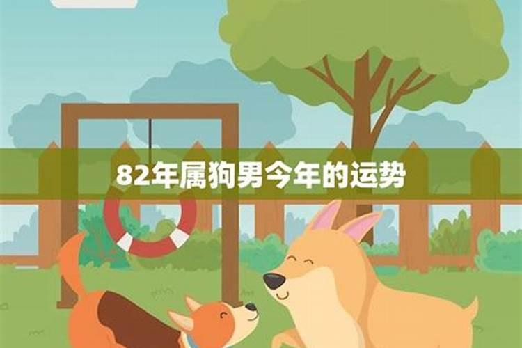 1970年属狗男士(55岁)2025年运势透视,看看每个月的好运