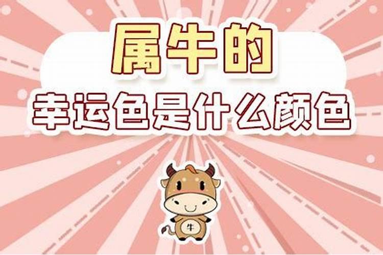 2025年属牛人的幸运色