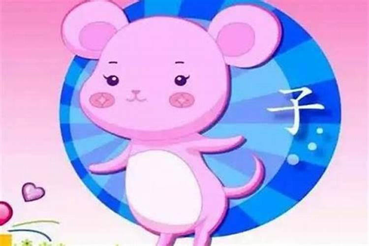 生肖兔1987年2025年运势如何 生肖兔1987年2025年全年运势