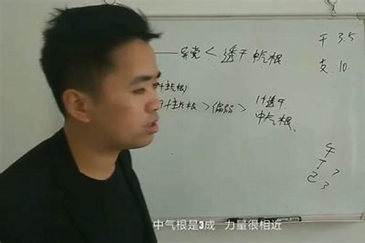 2025年范太岁的生肖