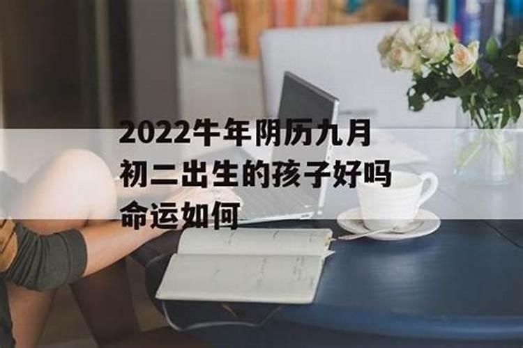 巨匠详解:属鸡2023年全年运势运程及每月运程？