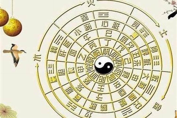 兔人在蛇年2025年每月运势如何