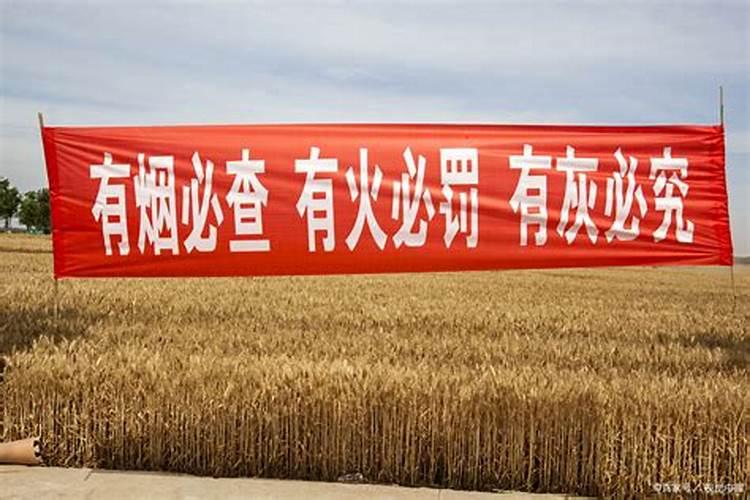 魁罡格算是顶级八字吗