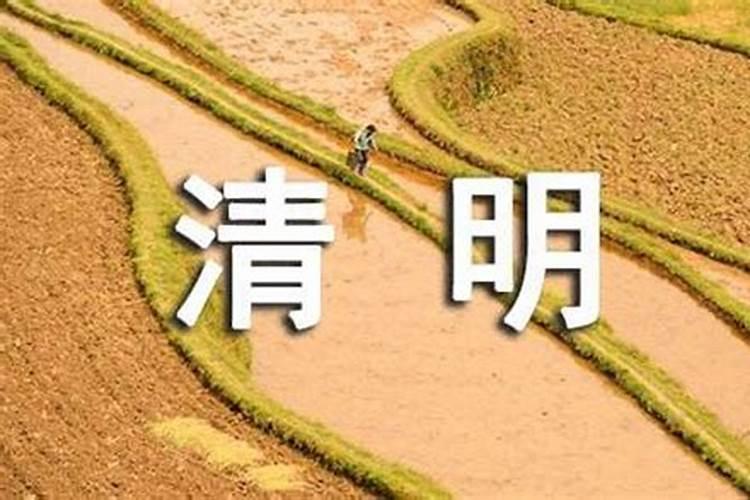 宋韶光2022年十二生肖运程,宋韶光做生肖运程推测准确吗
