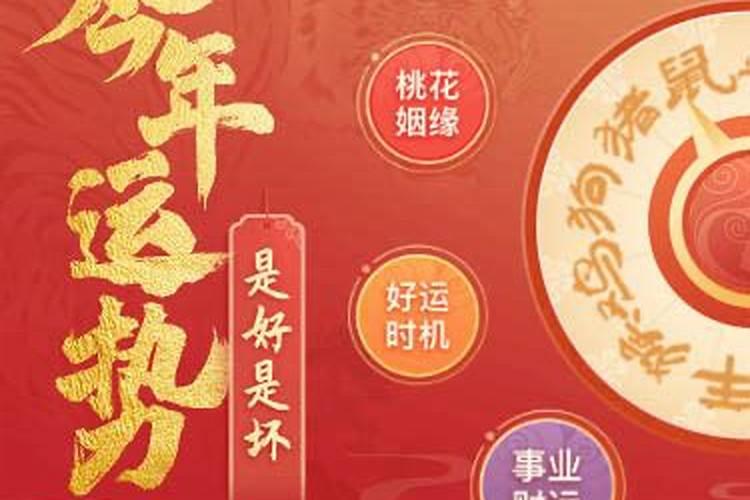 1995年猪2025年运势及运程