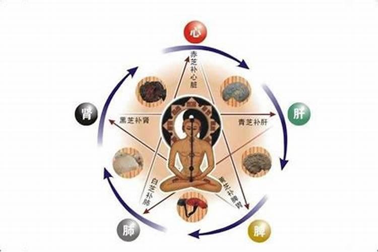 大木林是什么梗