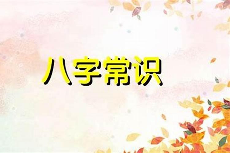 2025年2月13日生肖猪五行穿衣指南