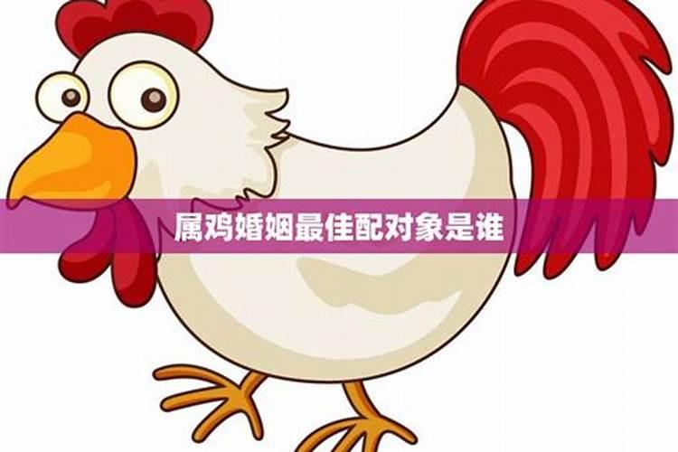 69年属鸡的婚配属相,1969年属鸡男和什么属相最配结婚