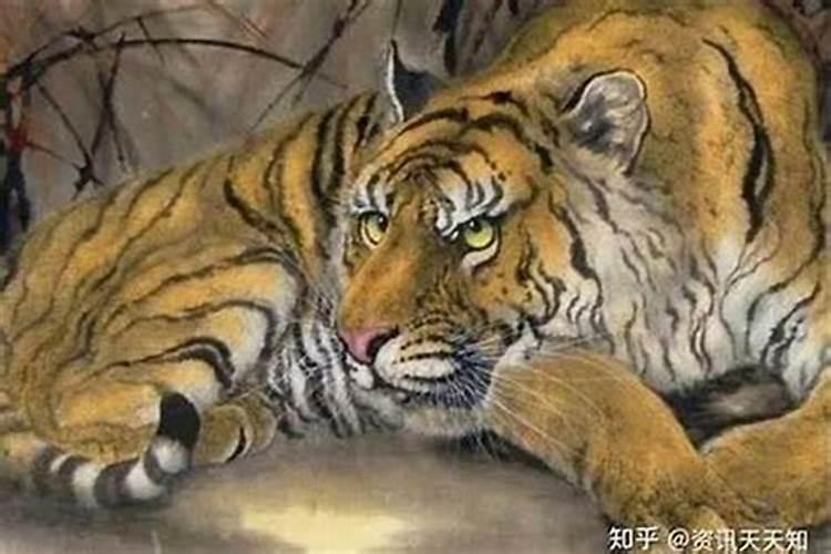 属龙人将来十年运势 运势平整小钱不时？