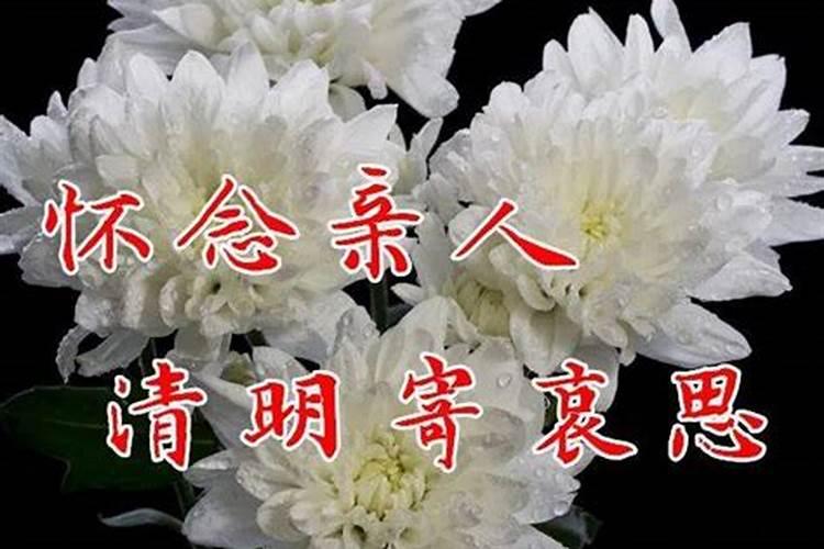 2025犯太岁最严重三个生肖