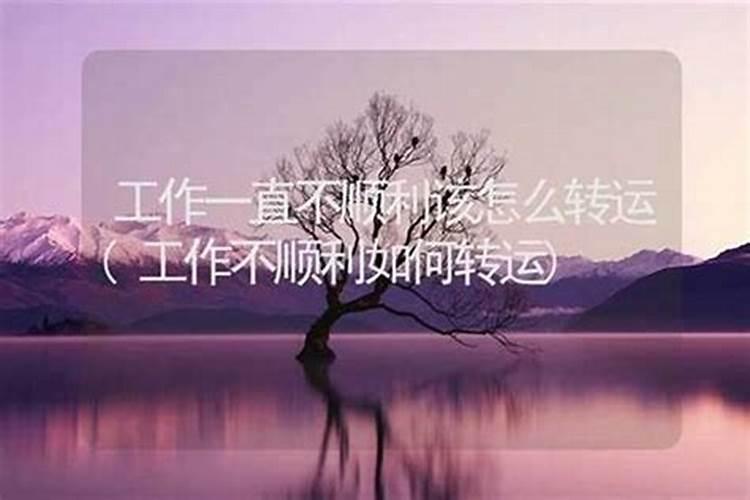84年2025年属鼠人的全年运势