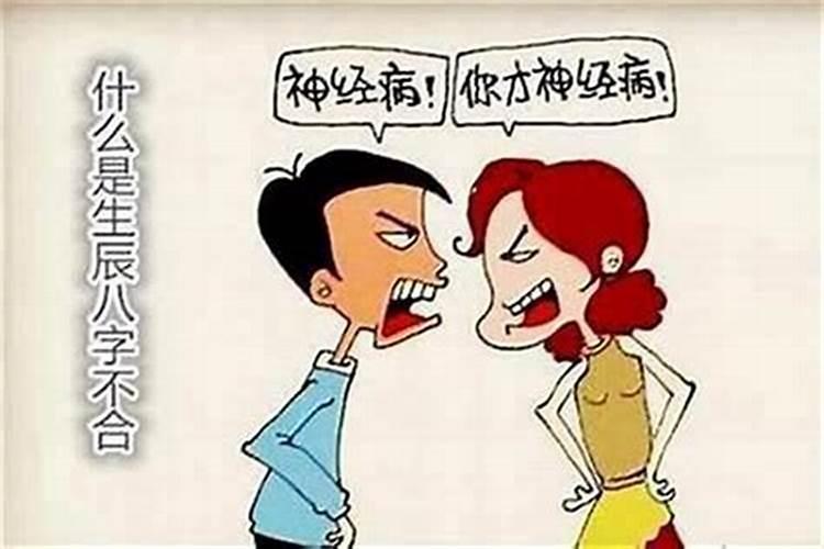 生肖猪1995年2025年运势如何 生肖猪1995年2025年全年运势