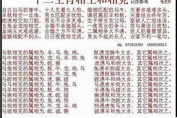 70年狗金男88年龙女木婚配,属狗的和属龙的相配吗