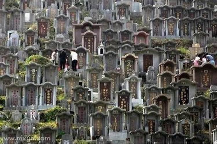 女人梦见墓地和墓碑是什么意思