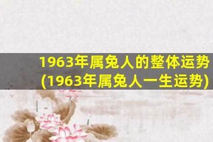 1963年的属兔人一生财运如何？