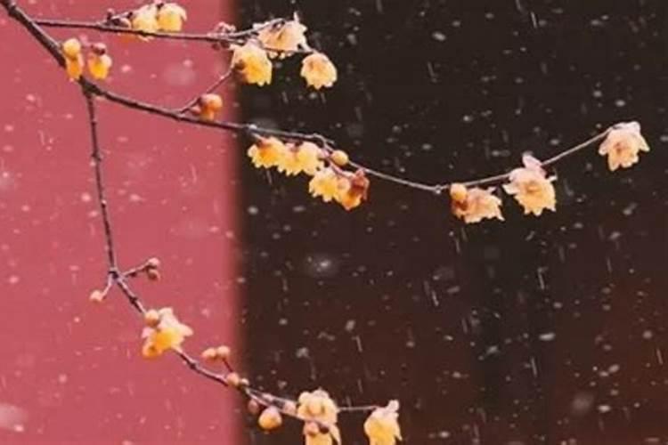 夏至节气出生的宝宝好吗？夏至那天日子怎么样？