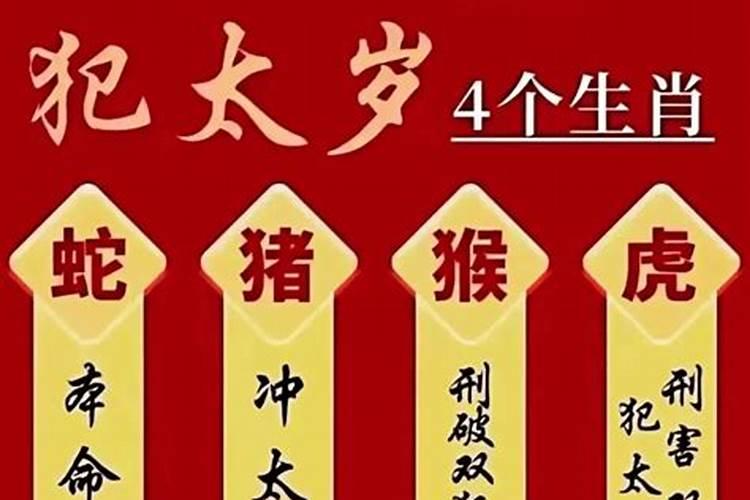 属蛇人2025年犯太岁的化解方法