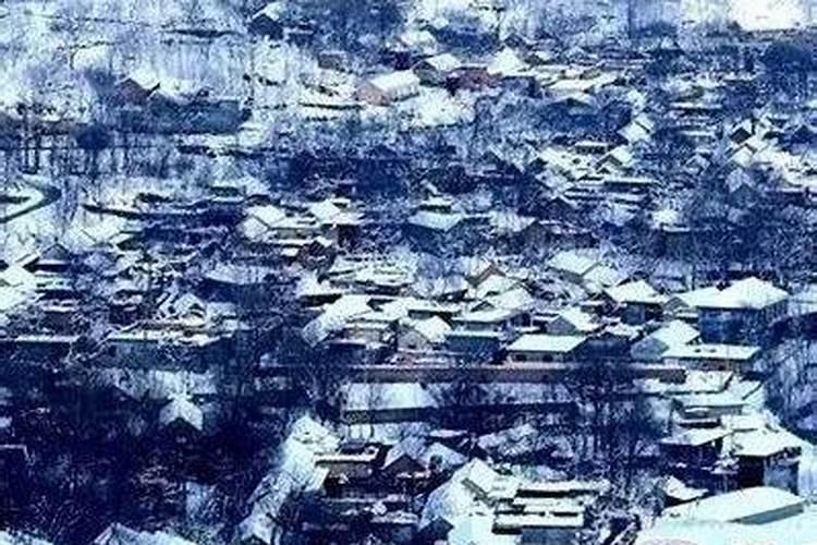 全国各地冬至节气都吃什么美食急急急。。。