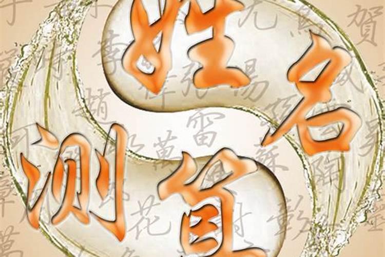 2025年太岁冲什么属相