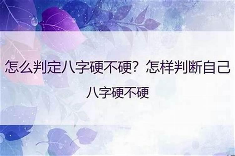 2025年每月运势详解