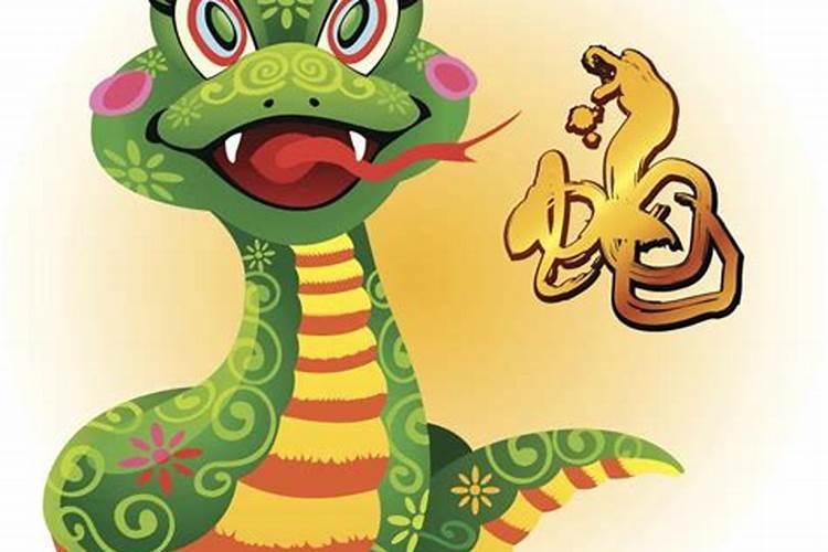 属蛇的什么命？